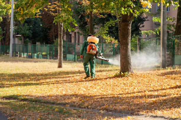 Spider Control Near Me in Helena West Helena, AR